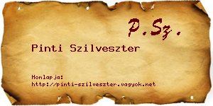 Pinti Szilveszter névjegykártya